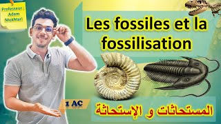 Les fossiles et la fossilisation  1AC Partie 1  المستحاثات و الإستحاثة [upl. by Bibah]