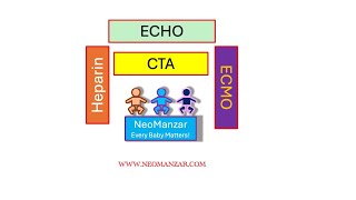 CTA Fluoroscopy ECHO Heparin ECMO Peds [upl. by Atilrep278]