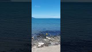 Glenarm Shore North Coast of Ireland ☀️☘️ [upl. by Belldame]