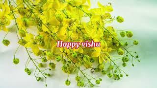 vishu songs malayalamvishu 2024vishu wishes in malayalam [upl. by Spears]