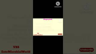 Phagocytosis EnteMicrobialWorld biology microbiology immunology immunesystem shortsfeed yt [upl. by Wieche]