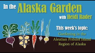 In the Alaskan Garden with Heidi Rader Gardening in the Aleutian Pribilof Region of Alaska [upl. by Itsa107]