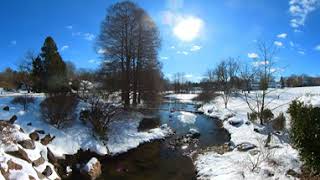 Cokesbury Village Upper Pond Overlook  a 360 Video Winter View [upl. by Shay]