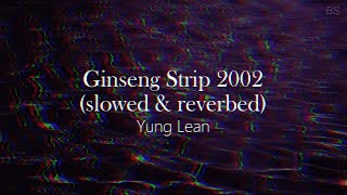 ginseng strip quotbitches come and go brahquot  yung lean  slowed  reverb  1 hour [upl. by Kendal]