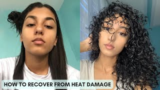 HOW TO GET YOUR CURLS BACK  Ultimate Heat Damage Repair Guide [upl. by Falzetta]