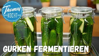 Fermentierte Gurken  super lecker und gesund [upl. by Eikceb]