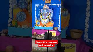 Aapni papani ganpati aanla ganpatiganeshchaturthi ganpatibappamorya jaiganesha bappa lalbaba [upl. by Rebna]