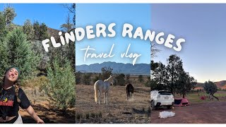 Flinders Ranges Camping Trip Vlog 🏜️ [upl. by Constantina]