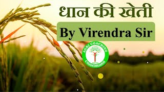 Rice Cultivation  धान की खेती  Class by Virender Sir [upl. by Baer]