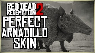 HOW TO GET A PERFECT ARMADILLO SKIN  RED DEAD REDEMPTION 2  3 STAR PRISTINE ARMADILLO HUNT [upl. by Kral]