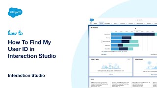 How To Find My User ID in Marketing Cloud Personalization [upl. by Refynnej151]