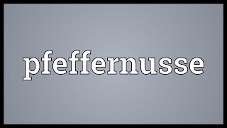 Pfeffernusse Meaning [upl. by Notsgnal]