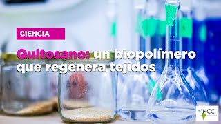 Quitosano un biopolímero que regenera tejidos [upl. by Annahaj816]