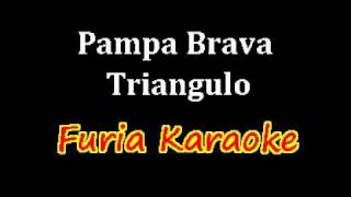 Pampa Brava  Triangulo  Furia Karaoke Demo [upl. by Hilton938]