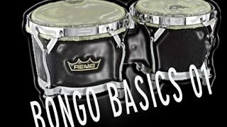 BEGINNERS GUIDE TO BONGOS  Pete Lockett  01 [upl. by Hurd]