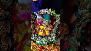 Krishna Leelaviralvideo trendingshorts [upl. by Einattirb276]