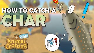 How to catch a CHAR in Animal Crossing New Horizons 3800 Bells  Detailed Fish Guide [upl. by Tawsha]