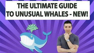 Get The Most Out Of Using Unusual Whales  2022 Feature Overview Update [upl. by Glantz232]