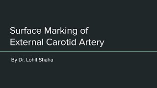 surface marking of internal carotid artery internal carotid artery surface anatomy [upl. by Bohon]