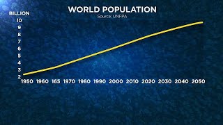 ONU a giorni la popolazione mondiale raggiungerà gli 8 miliardi [upl. by Ailito13]