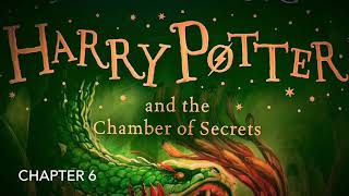 Harry Potter book 2 Chapter 6 [upl. by Karney]