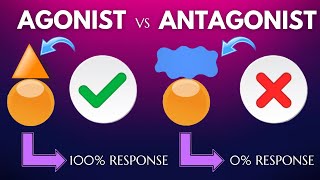 AGONIST amp ANTAGONIST IN TAMIL [upl. by Stedmann]