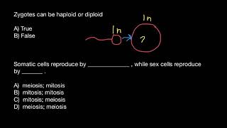 Mitosis vs Meiosis Side by Side Comparison [upl. by Darees]