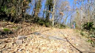 In MTB sulle colline dei laghi di Caldaro e Monticolo [upl. by Aehsel]