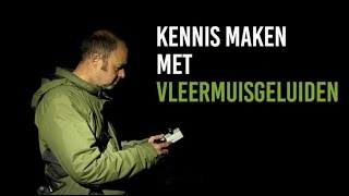 Kennis maken met vleermuisgeluiden [upl. by Ravahs691]