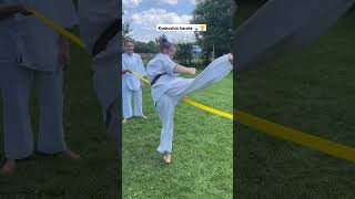 Kyokushin 極真 karate karate martialarts mma kyokushinkai kickboxing kyokushinkarate muaythai [upl. by Devi]