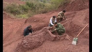 180 mlnyearold dinosaur fossils discovered in SW China [upl. by Sokram]