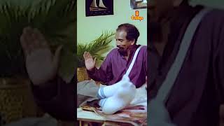 ഇത് തകഴിടെ ചെമ്മീൻ അല്ലെ  Mamukkoya Comedy Scene  Pavakkoothu Malayalam Movie  Jayaram  Innocent [upl. by Ardnama3]