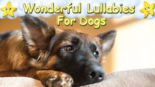 Dog Music Sleep Music For German Shepherds ♫ Calm Relax Your Dog Puppy Pet ♥ Lullaby For Animals [upl. by Etram]