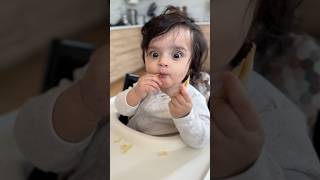 7 months old croissant lover🥐 [upl. by Aicilas]