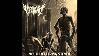 Viral Load – Mouth Watering Stench Full Demo Re released 2013 [upl. by Enyar99]