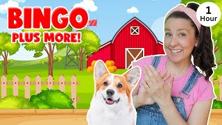 Bingo  More Nursery Rhymes amp Kids Songs  Ms Rachel [upl. by Eitsrik391]