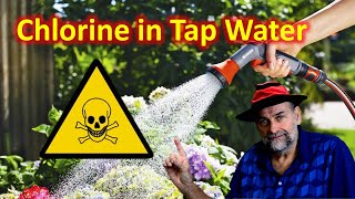 Is Chlorine and Chloramine in Tap Water Harmful to Plants [upl. by Joycelin]