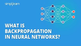 Backpropagation in Neural Networks  Back Propagation Algorithm with Examples  Simplilearn [upl. by Biel255]