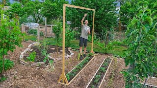 How to Build a Tomato Trellis Using Only ONE PIECE of WOOD CHEAP and EASY Backyard Gardening [upl. by Eelac]