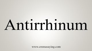 How To Say Antirrhinum [upl. by Vidda]