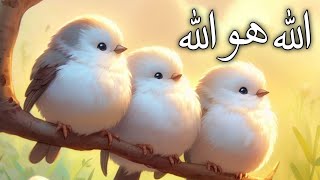 Animated Naat For Kids  Allah Hu Allah  Naat For Children [upl. by Haym]