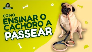 Como Ensinar Seu Cachorro a Passear do Seu Lado Sem Puxar em 15 MINUTOS NA PRÁTICA [upl. by Draillih673]