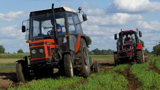 Orka na dwa ciągniki Belarus 9204 i Zetor 7711 Dźwięk silnika [upl. by Irovi]