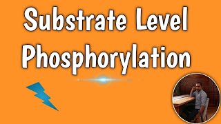 Substrate Level Phosphorylation  ATP formation Process and examples ATP formation [upl. by Enairb]