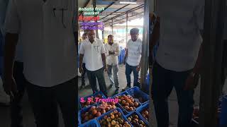 rahata anar mandi viral dancefruits love musicgenre musicsong fruitworld fruitsworld [upl. by Malti]