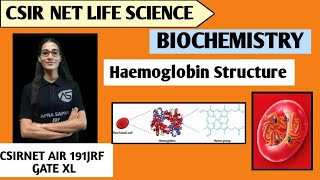 Structure of Haemoglobin  Biochemistry  apnasapnajrf csirnetlifescience [upl. by Derry]