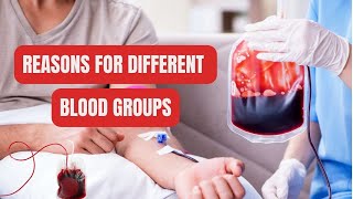 Reasons for Different Blood Groups [upl. by Opaline]