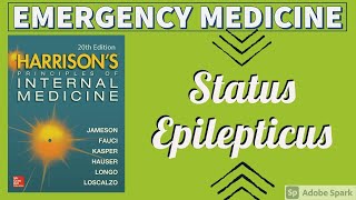 STATUS EPILEPTICUS  Causes  Treatment  Harrison [upl. by Peednus934]