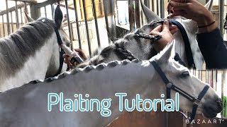 HORSE MANE PLAITING TUTORIAL  and bathing [upl. by Ambrosio410]