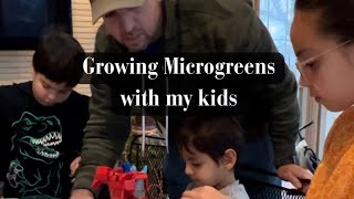 Growing Microgreens With My Kids [upl. by Setsero697]